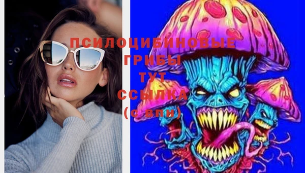 первитин Белокуриха