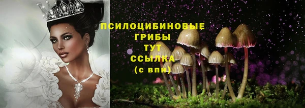 первитин Белокуриха