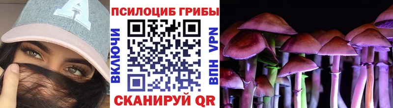 Галлюциногенные грибы Psilocybe  Константиновск 